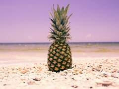 South Florida Pineapple I