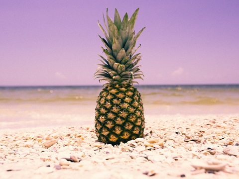 South Florida Pineapple I