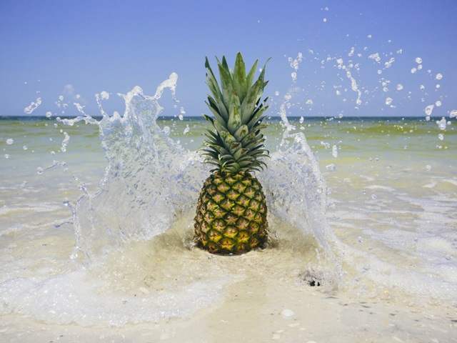 South Florida Pineapple III