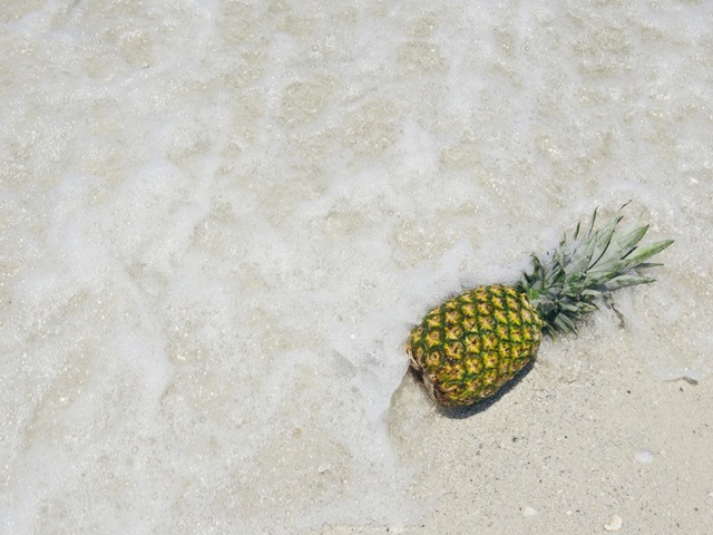 South Florida Pineapple V