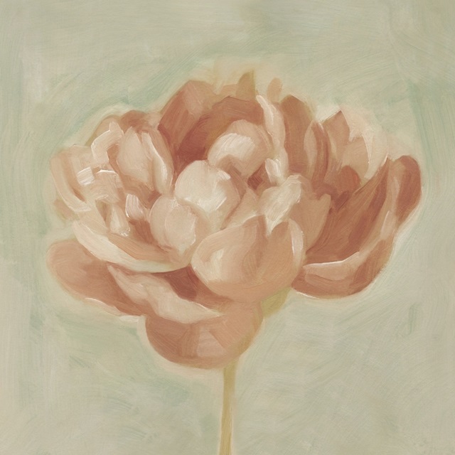 Spring Peony I