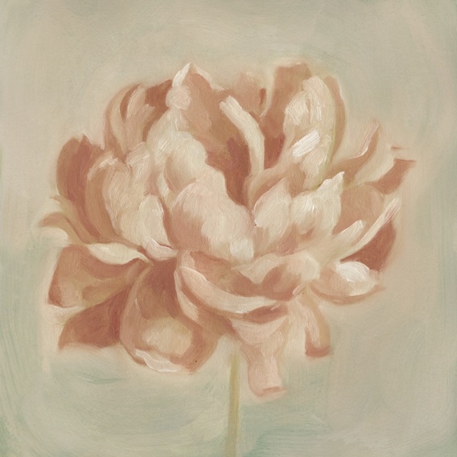 Spring Peony II