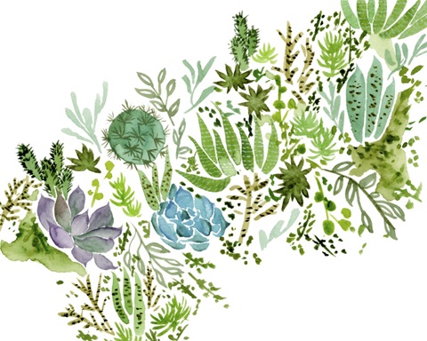 Succulent Field I