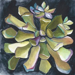 Succulent Rosette I