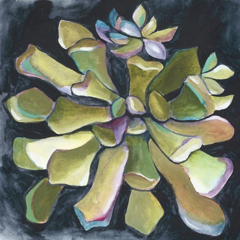 Succulent Rosette I