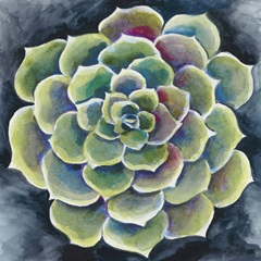 Succulent Rosette II
