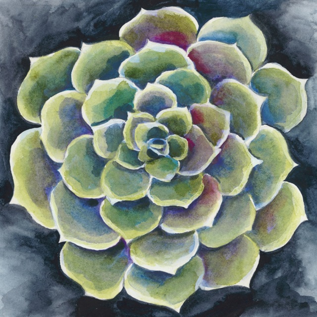 Succulent Rosette II