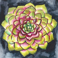 Succulent Rosette III