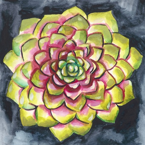 Succulent Rosette III