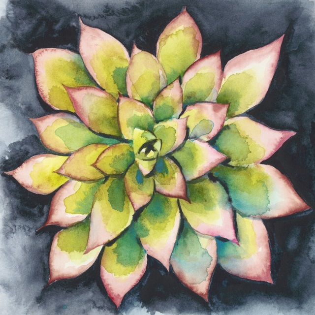 Succulent Rosette IV