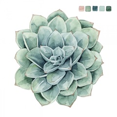 Succulent Swatches I