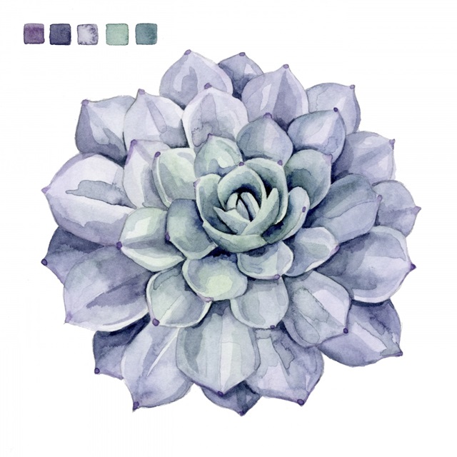 Succulent Swatches III