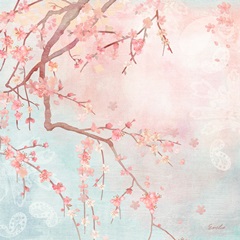 Sweet Cherry Blossoms IV