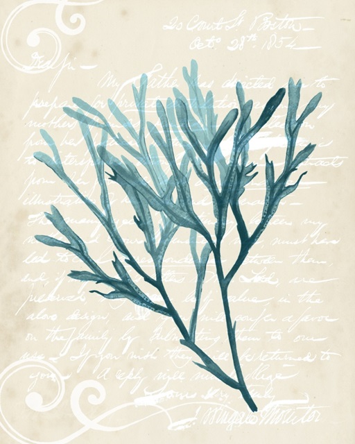 Teal Seaweed III