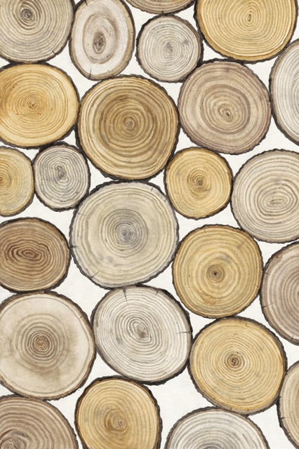 Tree Ring Study I