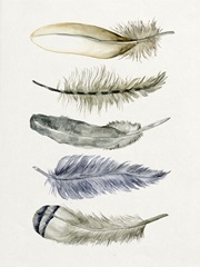 Tribal Feather II