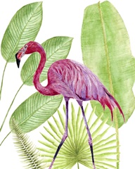 Tropical Flamingo I