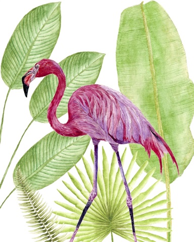 Tropical Flamingo I