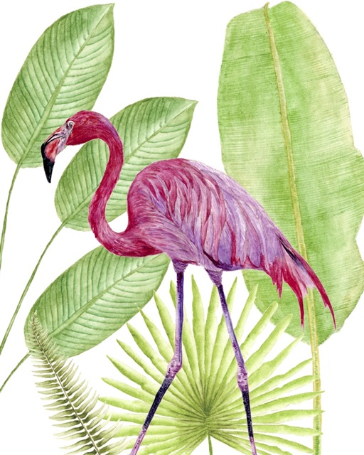 Tropical Flamingo I