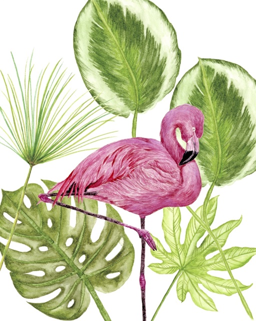 Tropical Flamingo II