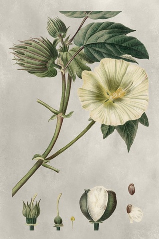 Tropical Varieties II