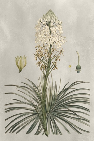 Tropical Varieties III