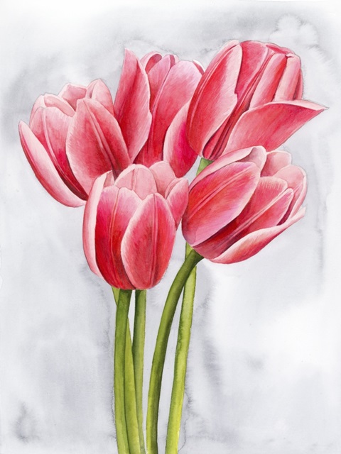 Tulip Tangle II