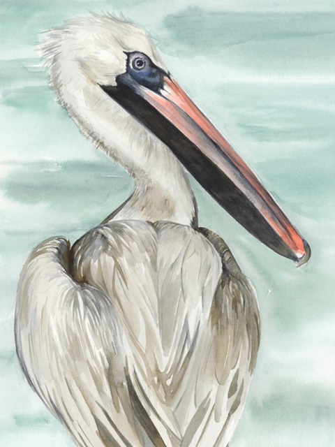 Turquoise Pelican I
