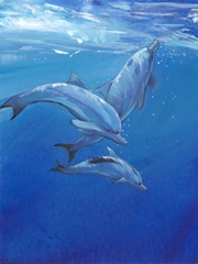 Under Sea Dolphins
