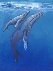 Under Sea Whales I