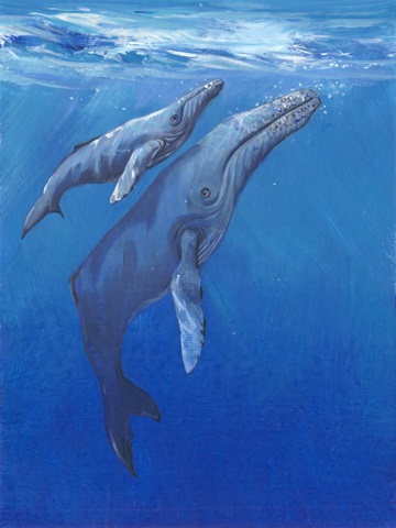 Under Sea Whales I