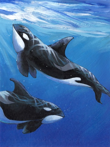 Under Sea Whales II