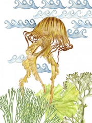 Undersea Creatures IV