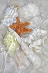 Underwater Light Waves I