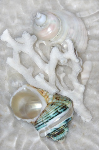 Underwater Light Waves IV