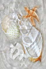 Underwater Light Waves IX