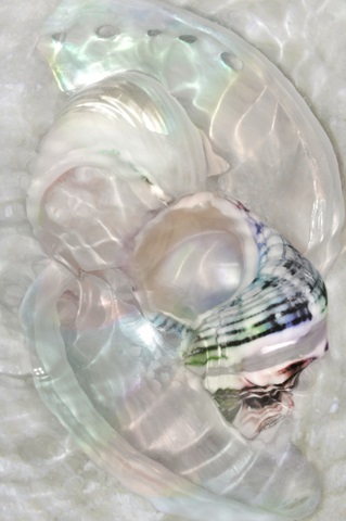 Underwater Light Waves V