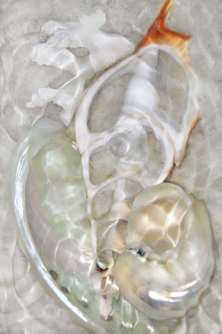 Underwater Light Waves VIII