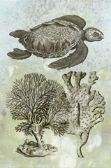 Underwater Sea Turtle I