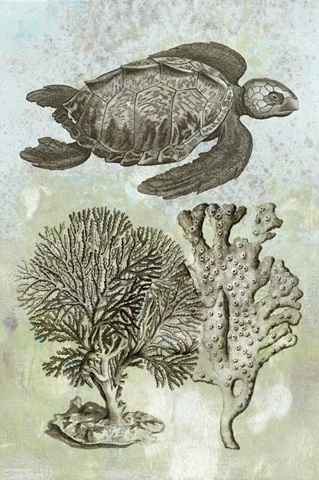 Underwater Sea Turtle I