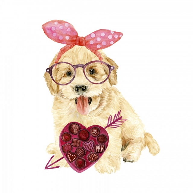 Valentine Puppy IV