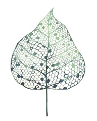 Veiled Leaf I