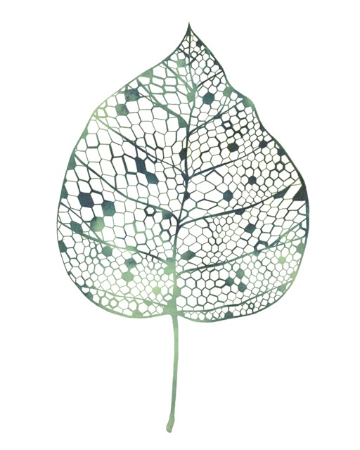 Veiled Leaf II