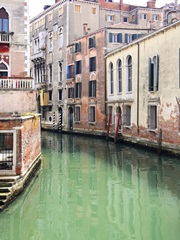 Venice View I