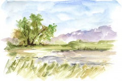 Vibrant Watercolor II