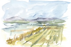 Vibrant Watercolor III