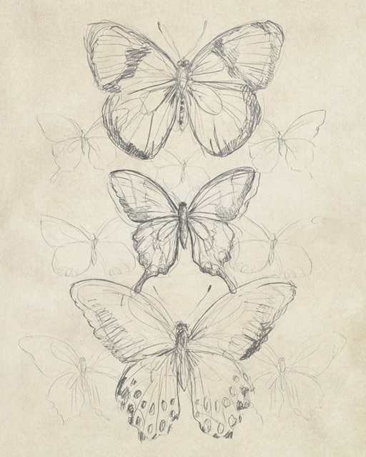 Vintage Butterfly Sketch I