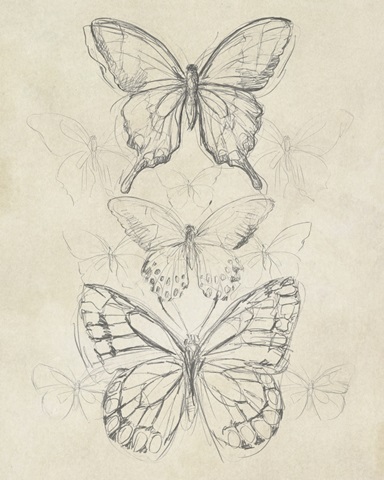 Vintage Butterfly Sketch II