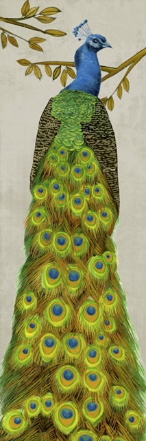 Vintage Peacock I
