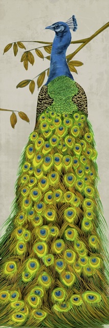 Vintage Peacock II